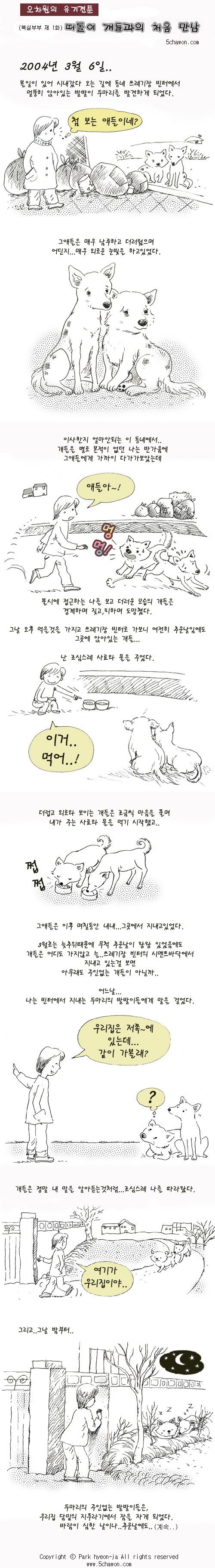 [복실부부]제 1화 - 떠돌이 개들과의 처음 만남 